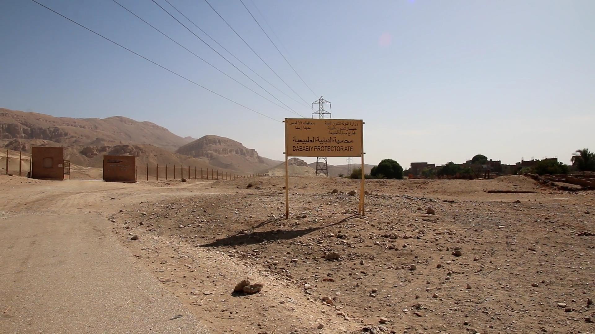 eldababia (23)